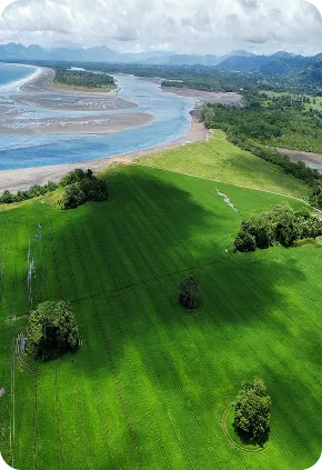 Vista aérea de terreno verde en Playa Raya con la desembocadura del río y las montañas