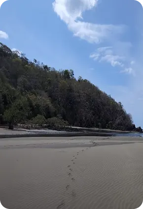 Quiet sandy beach at Playa Raya with a wooded hill