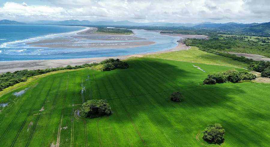 Aerial view of the Playa Raya land corridor running from the beach inland, with the river mouth behind