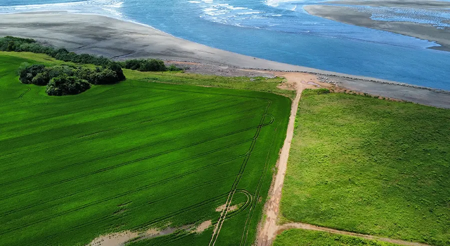 Aerial view of the Playa Raya parcel with access track leading to the beach